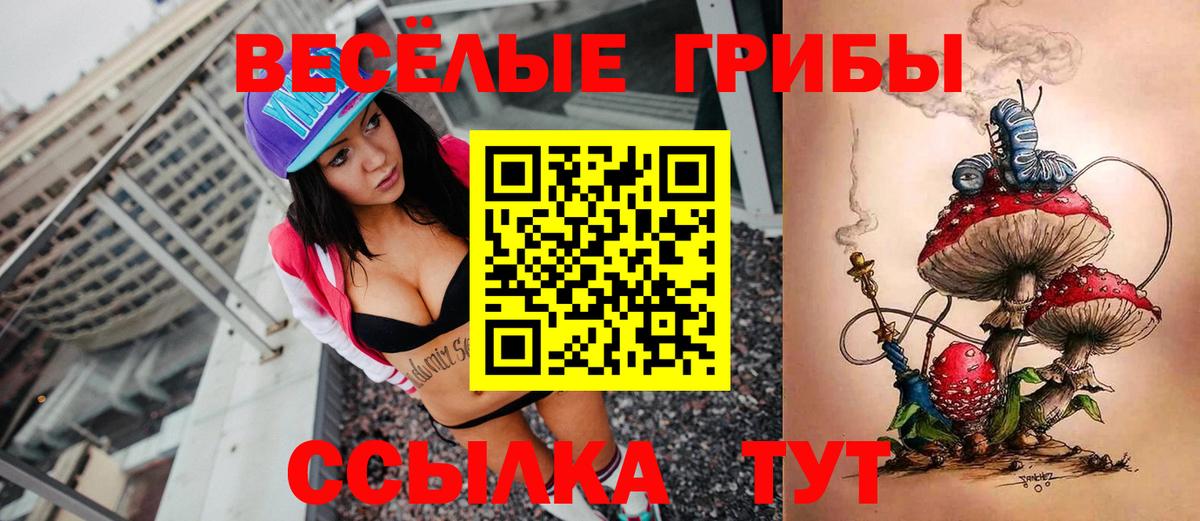 Галлюциногенные грибы Psilocybine cubensis Ивантеевка