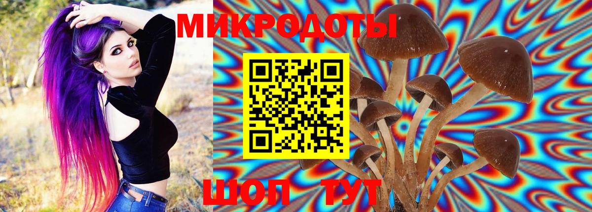 Псилоцибиновые грибы Cubensis  Вход с VPN  Ивантеевка  Псилоцибиновые грибы Magic Shrooms 